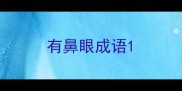 有鼻眼成语