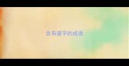 含有道字的成语