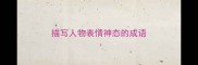 描写人物表情神态的成语
