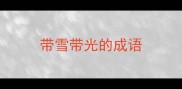 带雪带光的成语