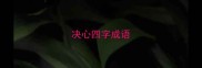 决心四字成语