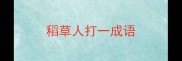 稻草人打一成语