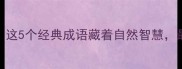 蜜蜂的成语有哪些这5个经典成语藏着自然智慧最后一个太形象了