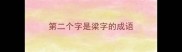 第二个字是梁字的成语