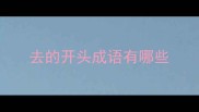 去的开头成语有哪些