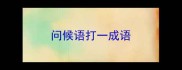 问候语打一成语