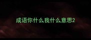 成语你什么我什么意思