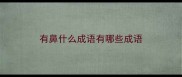 有鼻什么成语有哪些成语