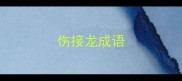 伤接龙成语