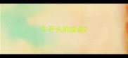 午开头的成语