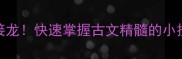 哉开头的100个成语接龙快速掌握古文精髓的小技巧附学习手册