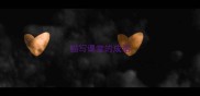 描写课堂的成语