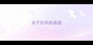 关于狂风的成语