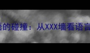 网络流行语与成语的碰撞从XXX墙看语言游戏的智慧传承