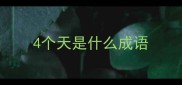 4个天是什么成语