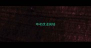 中考成语易错