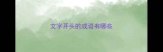 文字开头的成语有哪些