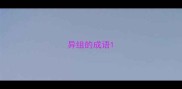 异组的成语