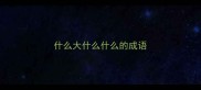 什么大什么什么的成语