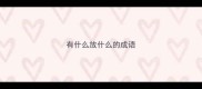 有什么放什么的成语