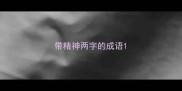 带精神两字的成语
