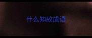 什么知故成语