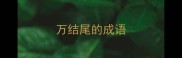 万结尾的成语