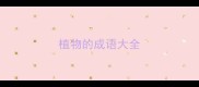 植物的成语大全