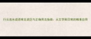 行云流水成语常见误区与正确用法指南从文学到日常的精准应用