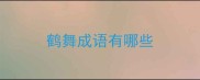 鹤舞成语有哪些