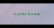 半迭成语有哪些成语