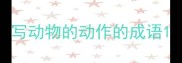 写动物的动作的成语