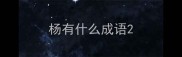 杨有什么成语