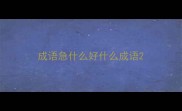 成语急什么好什么成语