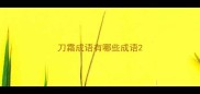 刀霜成语有哪些成语