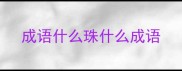 成语什么珠什么成语