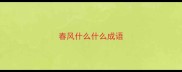 春风什么什么成语