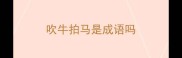 吹牛拍马是成语吗