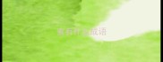 蜜有什么成语
