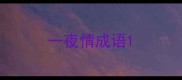 一夜情成语