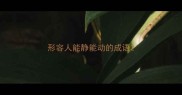 形容人能静能动的成语