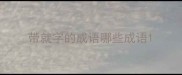 带就字的成语哪些成语
