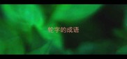 轮字的成语