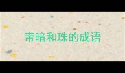 带暗和珠的成语