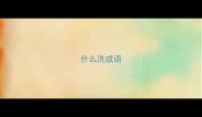 什么洗成语