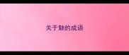 关于魅的成语