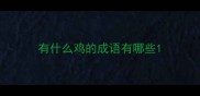 有什么鸡的成语有哪些