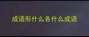 成语形什么各什么成语
