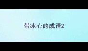 带冰心的成语