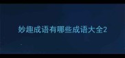 妙趣成语有哪些成语大全